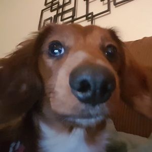 Meet your Posher, Lesa